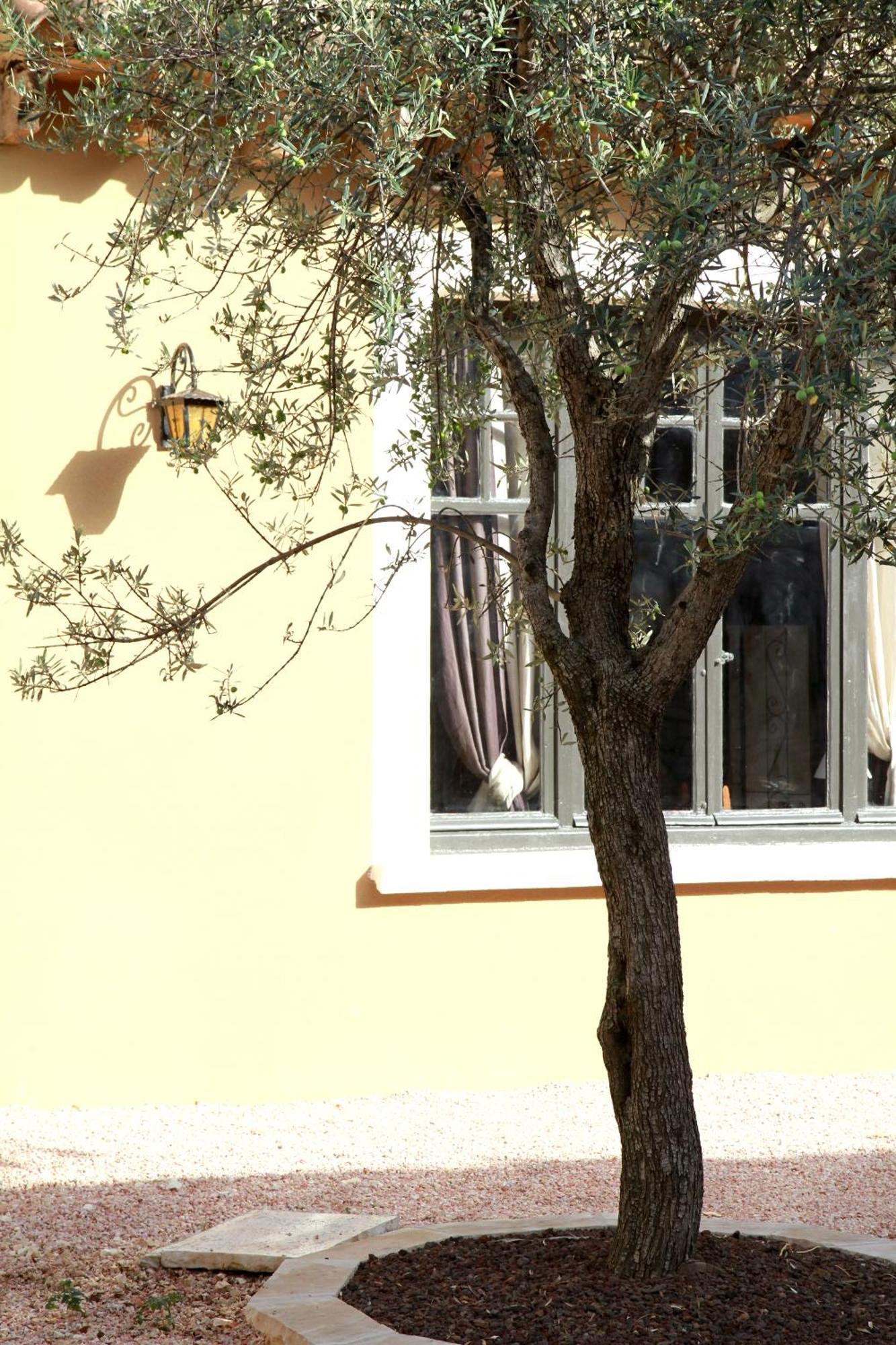 Logis Hotel Le Clos Des Oliviers Bourg-Saint-Andeol Ngoại thất bức ảnh
