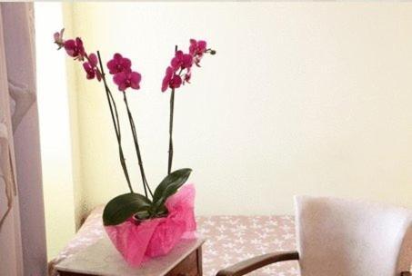 Logis Hotel Le Clos Des Oliviers Bourg-Saint-Andeol Phòng bức ảnh